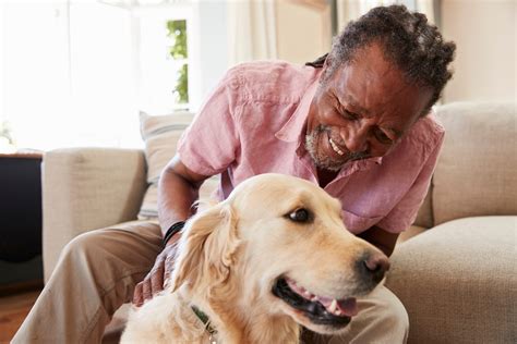 The Best Dogs For Seniors Readers Digest Canada