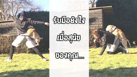 รวมคลิป Fail พากย์ไทย 23 ตลก ภาค ไทย รวมวิดีโอตลกไทย Movie