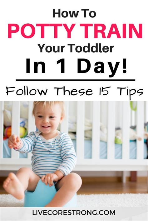 Potty Training How To Easily Potty Train Your Toddler In 1 Day