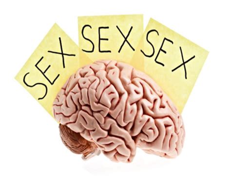 Así es el cerebro de una persona que ve pornografía