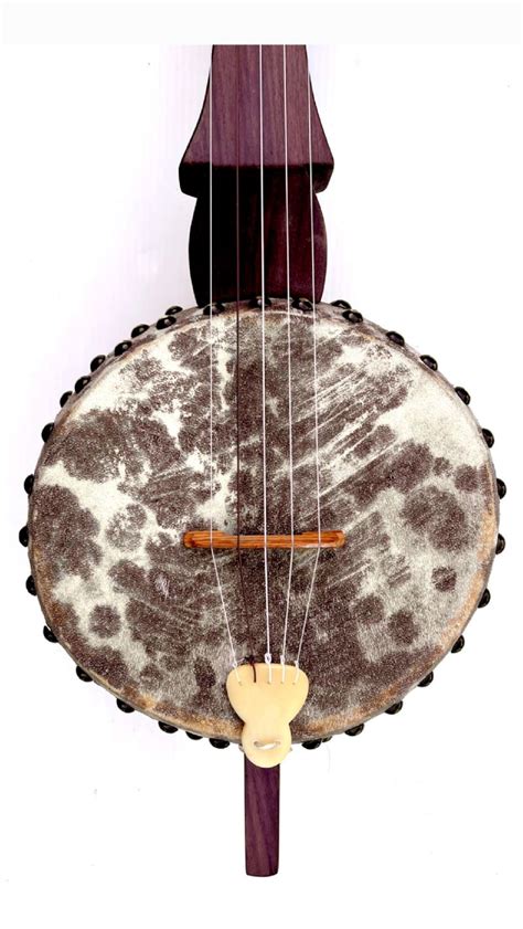 Jeff Menzies 5 String Gourd Banjo Made In Jamaica Used Banjo For