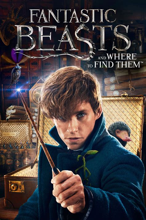 Fantastic Beasts And Where To Find Them Full Cast And Crew Tv Guide