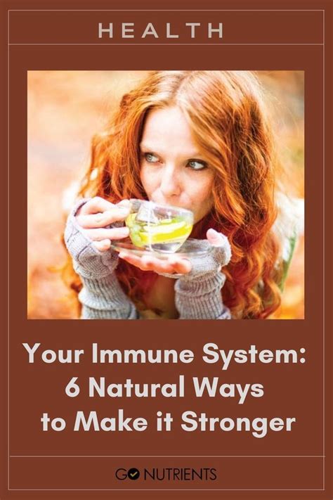 Your Immune System 6 Natural Ways To Make It Stronger Go Nutrients