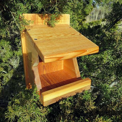 Robin Mourning Dove Swallow Nest Box Reclaimed Cedar Nesting