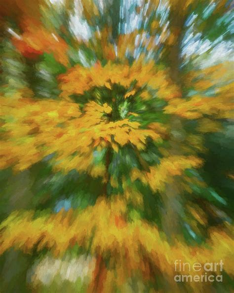 Foliage Zoom Photograph By Sharon Seaward Fine Art America