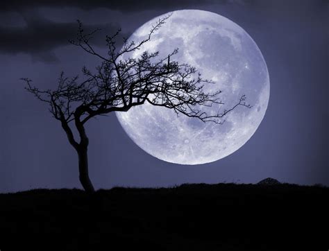 Full moon's notorious coronaverse expands ane. Celebrating the Full Moon