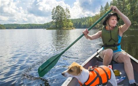 Doggy Paddling Tips For Taking Your Dog On A Canoe Kayak Or Sup