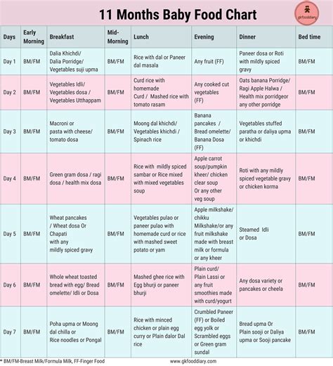 11 Months Baby Food Chart