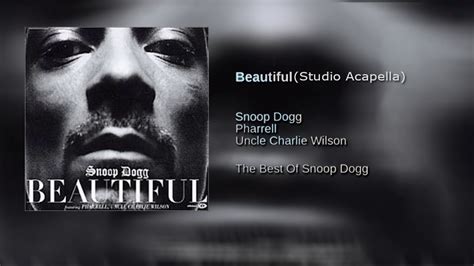 Snoop Dogg Beautiful Ft Pharrell Williams And Charlie Wilson Studio