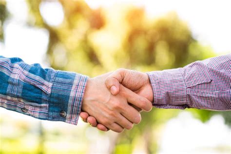 Closeup Of People Shaking Hands Stock Image Image Of Adult Person