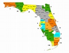 34 Florida Counties Map Ideas In 2021 Florida County Map County Map ...