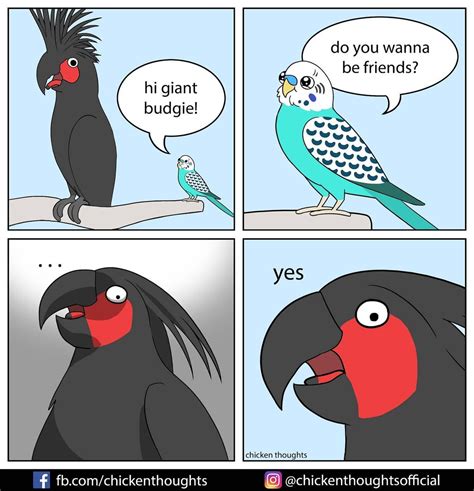 25 Funiest New Comics About Parrots Illustrated By The