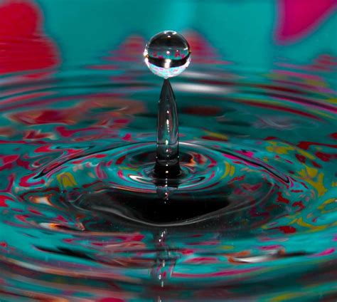 Taller By Amy Lee Winfield A Fantastic Shot Of A Water Droplet Taken