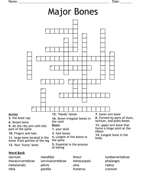 Major Bones Crossword Wordmint