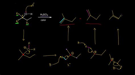 Mecanismo E1 Regioselectividad Química Orgánica Khan Academy En