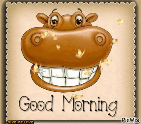 Smiling Hippo Good Morning Animated Quote Pictures Photos And Images