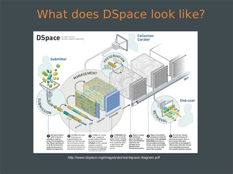 Introduction To Dspace