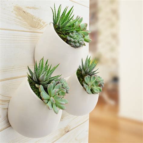 Our Distinctively Styled Ceramic Wall Planters Are Perfect For Growing