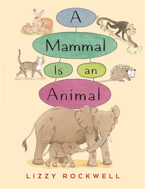Mammals Vs Non Mammals Dogs And Cats Wallpaper