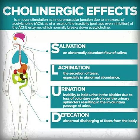 Cholinergic Effects Pharmacology Nursing Icu Nursing Nursing Study