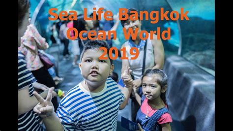 Sea Life Bangkok Ocean World 2019 Youtube