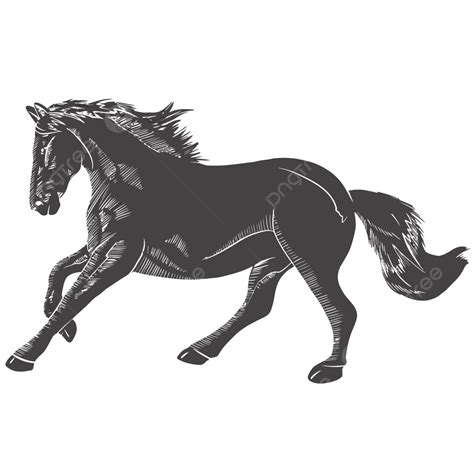 Stallion Horse Silhouette Vector Png Stallion Horse Silhouette