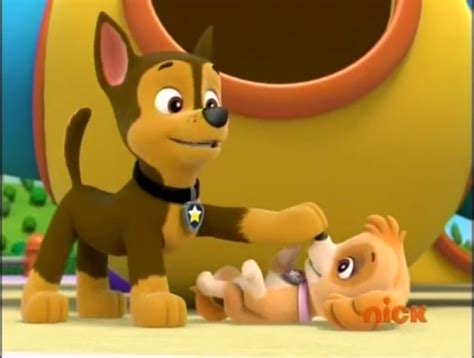 Image Chase Boops Skyepng Paw Patrol Fanon Wiki Fandom Powered
