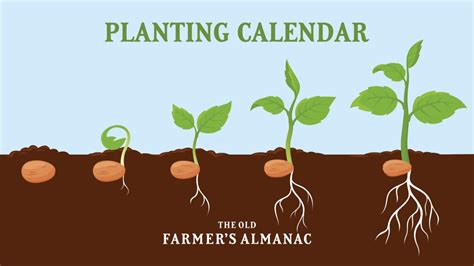 Farmers Almanac 2024 Gardening Calendar United States Buffy Coralie