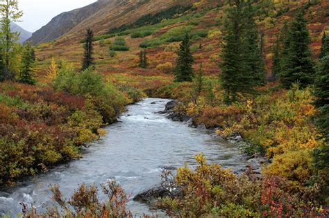 River definition, a natural stream of water of fairly large size flowing in a definite course or channel or series of diverging and converging channels. File:South Fork Eagle River, Alaska.jpg - Wikimedia Commons