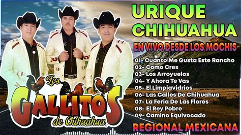 Los Gallitos De Chihuahua En Vivo Desde Los Mochis 2023 Youtube
