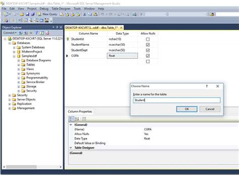 Showing Some Data In ASP NET From SQL Server Database Using SELECT Query