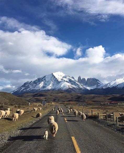 Chile 🇨🇱 On Instagram “🇨🇱⁠ El Parque Nacional Torres Del Paine Es Uno