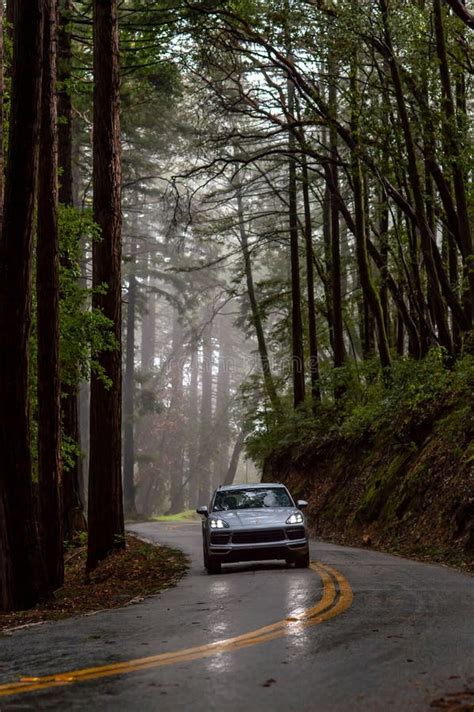 Porsche Cayenne Car Driving Through A Wooded Area On A Rainy Misty Day