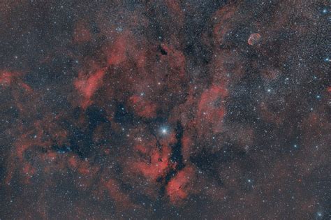 Ic 1318 Sadr Nebula Con Ngc 6914 E Ngc 6888 Crescent Nebula Foto Di