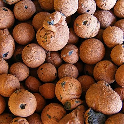 Hydro Clay Pebbles Leca Stones Orchidhydroponic Grow Media 2 Lbs