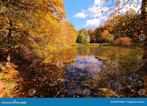 Colorful Autumn Trees And Pond In Park Stock Image Image Of Park