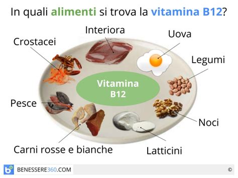 Latte e suoi derivati (formaggi e yogurt) uova; Vitamina b12: a cosa serve? dove si trova? Alimenti ...