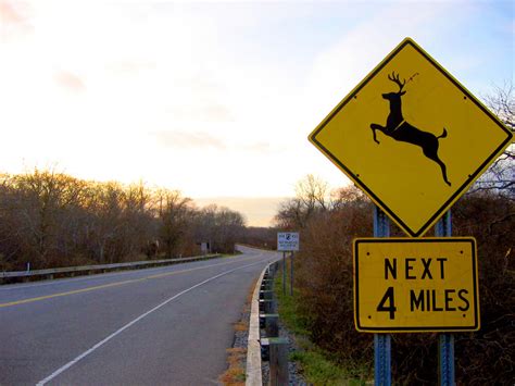 Deer Crossing Sign What Does It Mean