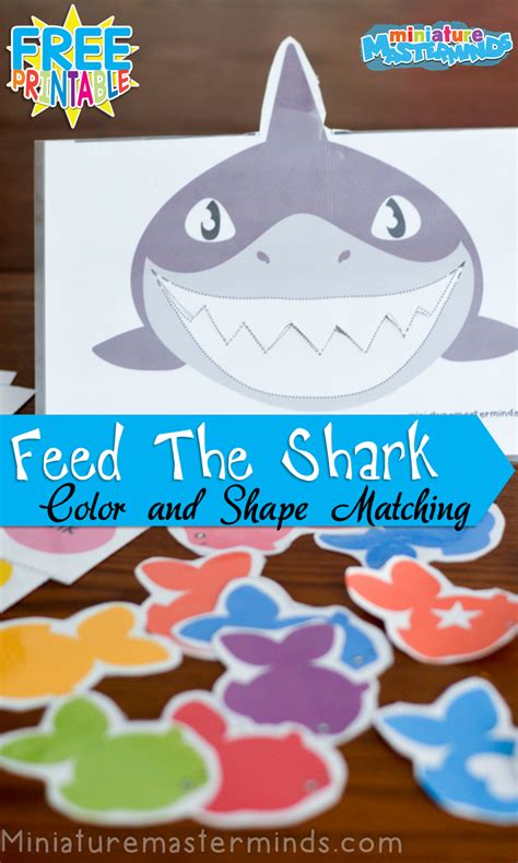 Here, your toddler will not only be practicing their color identification, but this is also a fantastic activity for developing their fine motor skills. Feed The Shark Colors And Shapes Matching Activity For ...