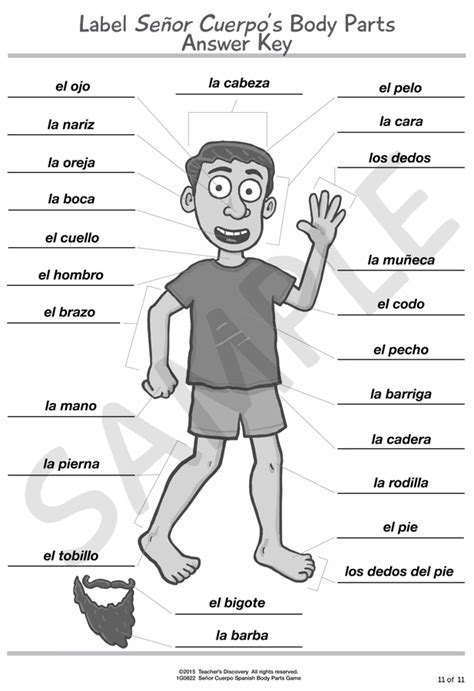 Señor Cuerpo Spanish Body Parts Game Spanish Teachers Discovery