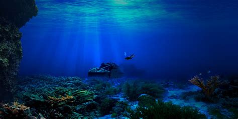 Fond Décran Mer La Nature Sous Marin Récif De Corail La Biologie