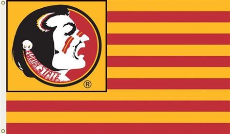 Florida State Seminoles 3 Ft X 5 Ft Flag Wgrommets Florida State