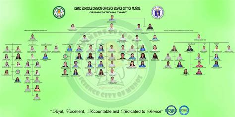 Organizational Structure Department Of Education
