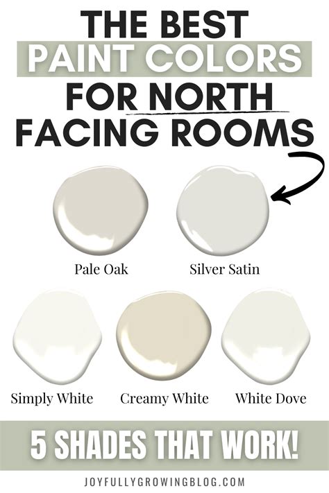 Best Paint Color For North Facing Room