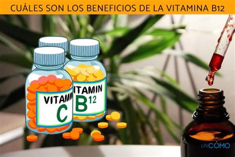 Cuáles Son Los Beneficios De La Vitamina B12 Descubre Por Qué Es