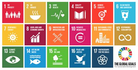 Sustainable Development Goals Ireland