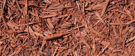 The Pros And Cons Of Cedar Chips For Your Landscape Beds J C Lawn