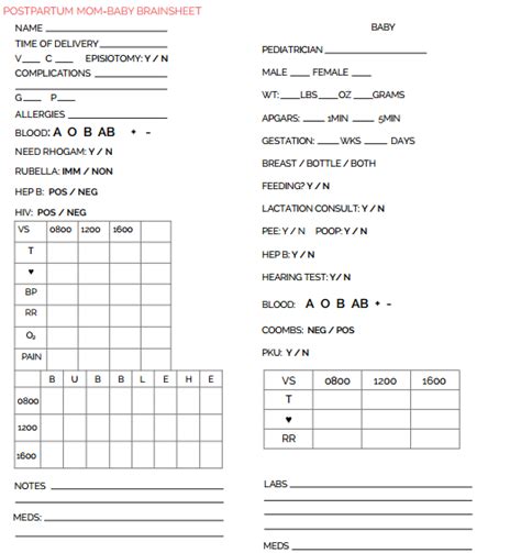 24 Hour Nurse Report Sheet Archives Professional Templates