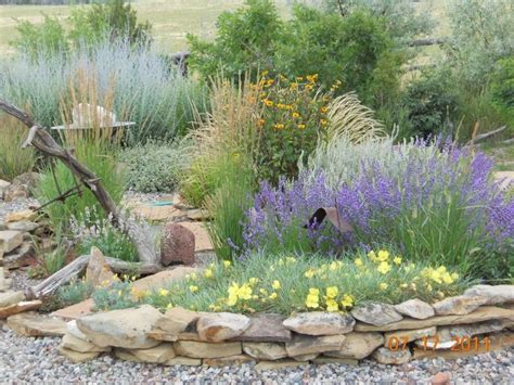 38 Best Drought Tolerant Plants That Grow In Lack Of Water 9
