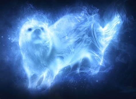 Pin By Maia Eden On Maia At Hogwarts Otter Patronus Harry Potter Harry Potter Patronus